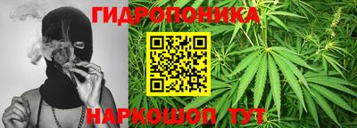 тгк Краснодар