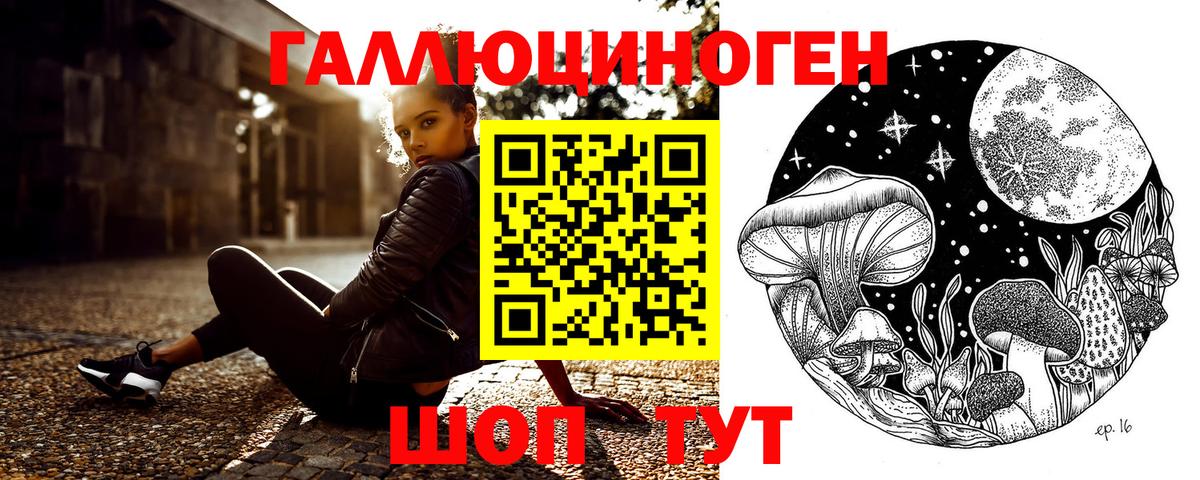 Кизилюрт  Псилоцибиновые грибы GOLDEN TEACHER  Вход с VPN 